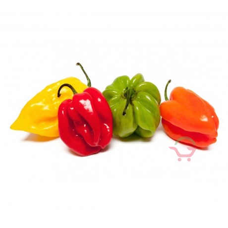 Chilli Püree extra sharf  200g